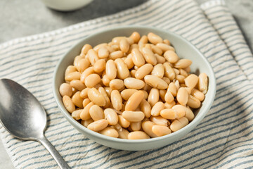Healthy Organic White Cannelloni Beans