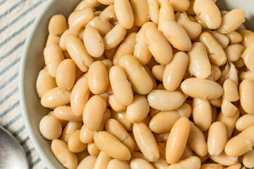 Healthy Organic White Cannelloni Beans