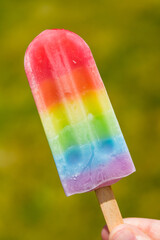 Sweet Summer Rainbow Popsicles