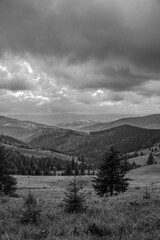 Landscapes - Forest - Europe, Romania, Suceava region