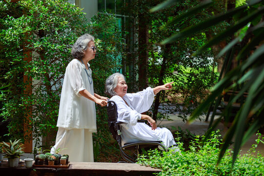 Senior Woman in Wheelchair Enjoying Nature Walk with Friend