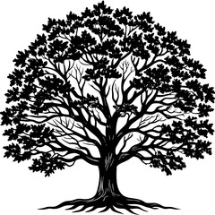 oak tree  vector art illustration