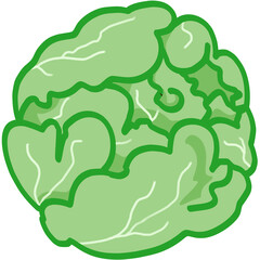  cabbage 
