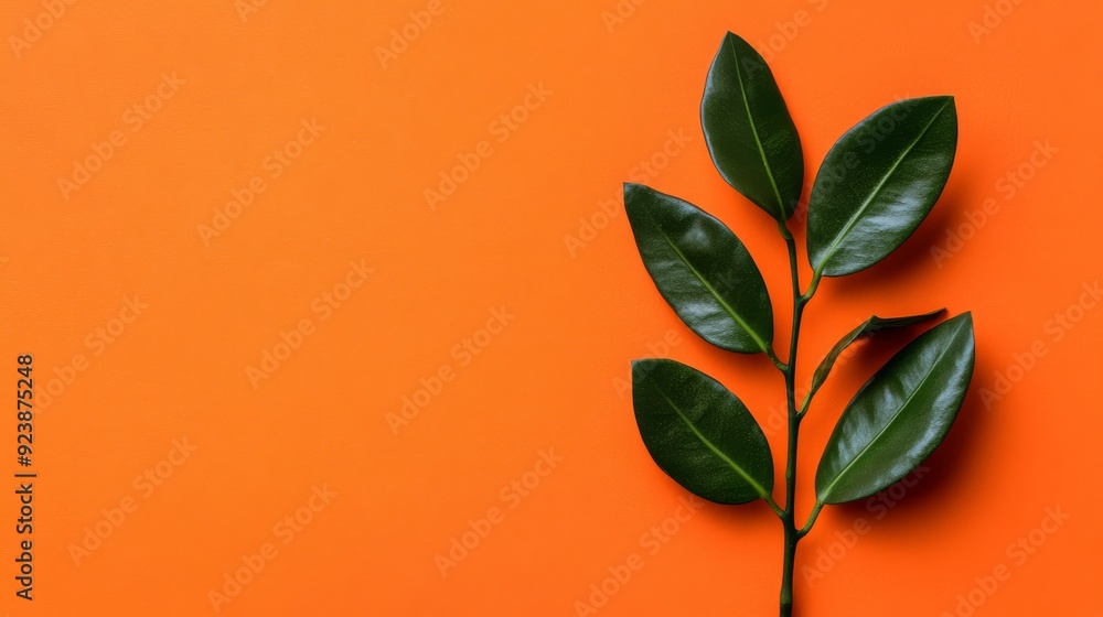 Canvas Prints Green Branch on Orange Background - A single green branch with leaves on an orange background.  The branch symbolizes growth, nature, life, hope, and renewal.