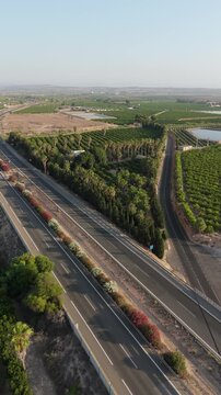 Vertical drone shot capturing the AP7 motorway in Torrevieja, surrounded by lush orchards and scenic palm trees