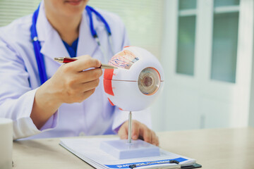 An ophthalmologist explains eye diseases using an eye model at an examination table in a hospital...