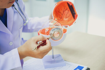 An ophthalmologist explains eye diseases using an eye model at an examination table in a hospital...
