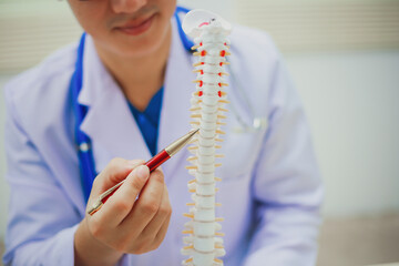 Orthopedist and surgeon using model or anatomical model of spine to educate patient about back pain on white background in examination room. Spinal stenosis or back pain. Medical.