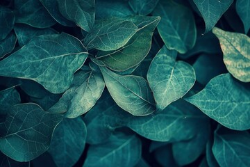Fototapeta premium Macro leaves background , ai