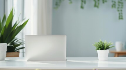 A laptop is open on a desk with a potted plant and a stack of books