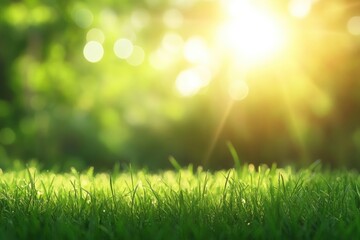 Obraz premium natural grass background with blurred bokeh and sun, ai
