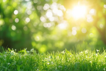 Obraz premium natural grass background with blurred bokeh and sun, ai
