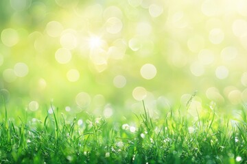 Obraz premium natural grass background with blurred bokeh and sun, ai