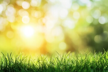 Obraz premium natural grass background with blurred bokeh and sun, ai