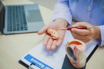 The doctor explains about the fetus to the specialist and assesses the progress of the baby, the...
