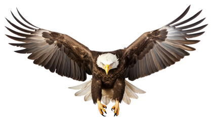 Fototapeta premium PNG Bald eagle animal flying bird.