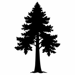 A Redwood tree silhouette black color vector style white background