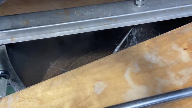 recirculation Mashing mash tun in a Stainless Kettle at beer brewery Cream Ale with Crushed Barley and malt after wort brewing