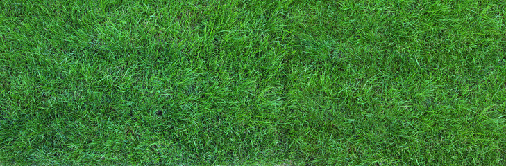 Green artificial grass as background, banner design