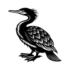 Fototapeta premium black crowned crane