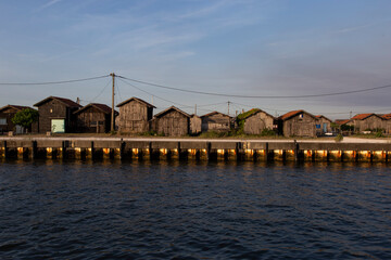 casas de ostras en el mar