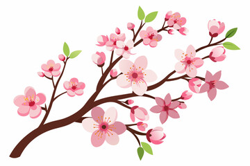 Pink cherry blossoms branch in spring isolated Vector illustration on a white Background.
