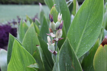 beautiful nature colorful photography. nature click 