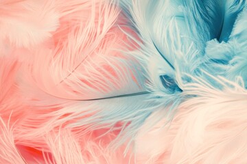 Fototapeta premium pastel colour feather abstract background , ai