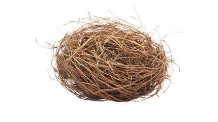 Obraz premium tumbleweed transparent background