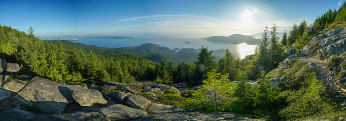 A panoramic view of a forest with a lake in the background