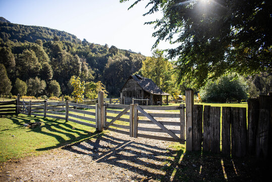 Paisajes de praderas en la Patagonia Argentina con incre&iacute;bles valles en zona rural. Vacas, caballos y ovejas pastando se pueden apreciar.