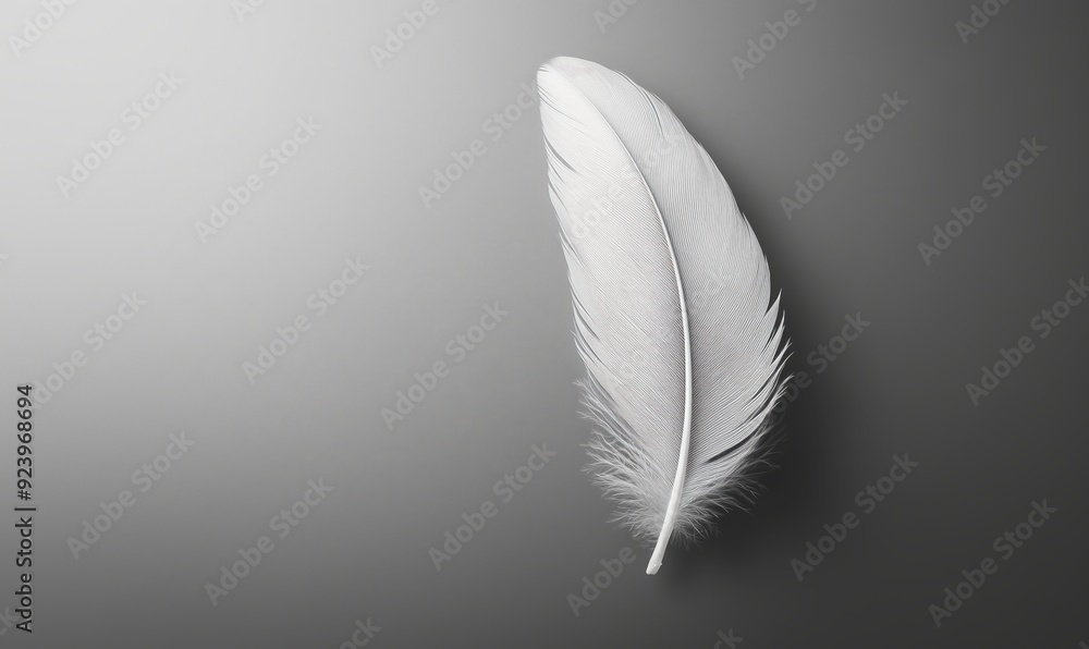 Poster a feather is shown on a grey background. the feather is white and has a unique pattern. concept of d