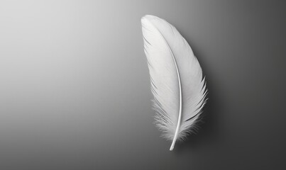 A feather is shown on a grey background. The feather is white and has a unique pattern. Concept of delicacy and lightness, as feathers are often associated with birds and their graceful movements