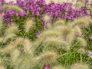 Park in Ost.-Westfalen