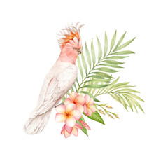 Pink cockatoo, plumeria flowers and tropical leaves watercolor isolated illustration. © dalidasia