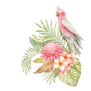 recommend clip art: Galah cockatoo, plumeria and etlingera flowers, tropical palm leaves.