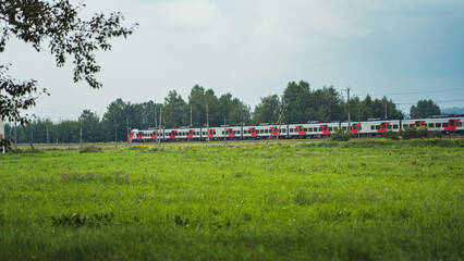 Naklejka premium A high-speed electric train travels along a green field. A train in the distance