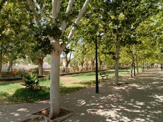 El Hajeb - Morocco: August 03 2024, The city of El Hajeb, between Meknes and Ifrane, is a wonderful city with rare beauty, such as the slopes, the Kasbah, and the many springs