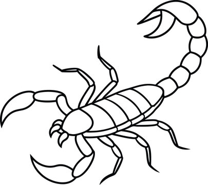 recommend clip art: Scorpion vector illustration Line art for coloring book page
                    
                    