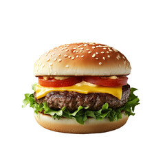 Delicious burger isolated.