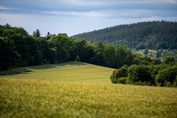 A tranquil countryside scene in central Europe with layers of hills, dense coniferous forests, and a small clearing between the woods. Ideal image for travel, nature, and wellness projects.