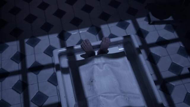 Morgue, three dead bodies ready for autopsy