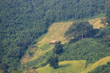 Obraz premium Landscape of Chittagong Hill Tracts.this photo was taken from Bandarban,Chittagong,Bangladesh.