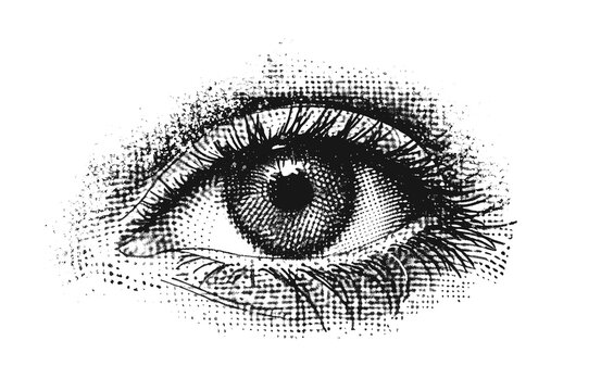 PNG  Detailed vintage stippled eye illustration