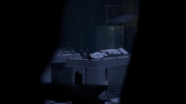 Morgue, three dead bodies ready for autopsy