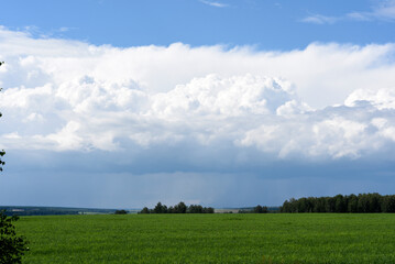 Fototapeta premium Thunderclouds on the background of a green field. A stormy landscape in the countryside.