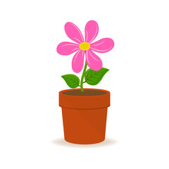 Beautiful flowers in pots on white background illustration
