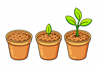 Flowerpot with potting soil, sprout and green plant isolated. Gardening, seedling growth