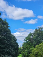 landscape with trees