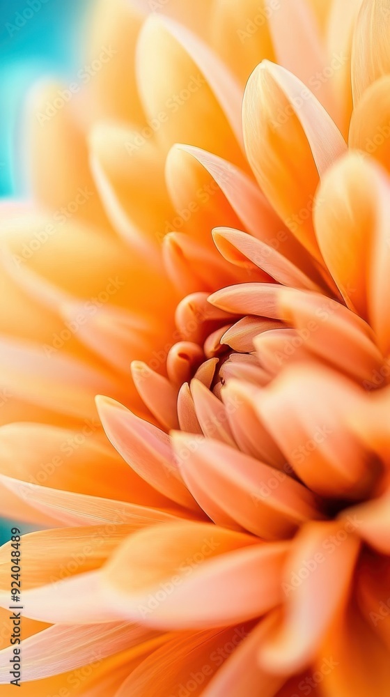 Poster close-up of delicate flower petals, focusing on the intricate patterns and vivid colors that make ea